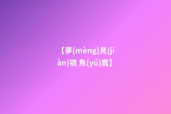 【夢(mèng)見(jiàn)鶚 魚(yú)鷹】